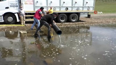 lyon -  Kars’ta 2 milyon sazan yavrusu göllere bırakıldı Videosu