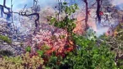 harekete gec -  Nemrut Kalderası’nda çıkan yangın kontrol altına alındı Videosu