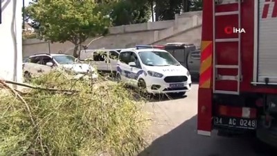 polis -  Üsküdar’da kökü çürüyen söğüt ağacı otomobil üzerine devrildi Videosu