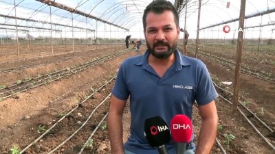 kimya -  Antalya'da sezonun ilk domates fidanları toprakla buluştu Videosu