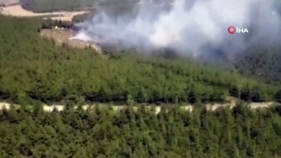 ormanlik alanda yangin -  Foça'da orman yangını Videosu