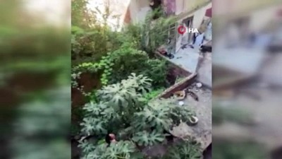 kamera -  Komşuların 'kedi besleme' tartışması kamerada Videosu