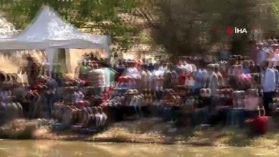 festival -  Asırlık gelenek başladı, kınalı koçlar suya atlamak için sıralandı Videosu