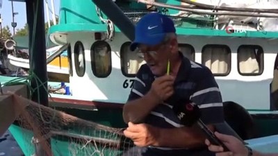 yunuslar -  Balıkçıların av sezonu için hazırlıkları sürüyor Videosu