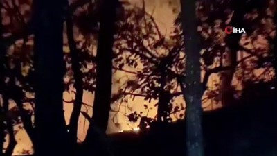 yangina mudahale -  Bursa'da yıldırım düştü, ormanlık alanda yangın çıktı Videosu