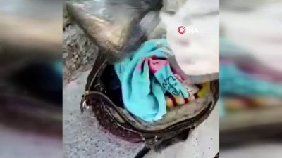 uyusturucu madde -  Elazığ’da el çantası içerisinde 2 kilo 150 gram esrar ele geçirildi Videosu