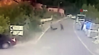 kopek -  Evine gitmeyen çocuklara köpek böyle saldırdı Videosu