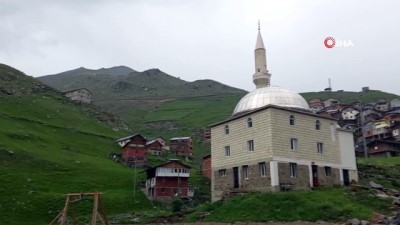 hayvan -  Her yıl afetlerden korunmak için kesilen kurbanlara rağmen yangından kurtulamadılar Videosu