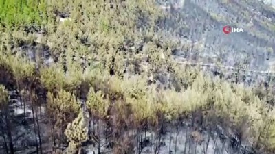 karahisar -  Isparta’daki Çandır köyünde söndürülen alanlar görüntülendi Videosu