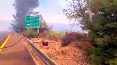 kurtarma ekibi -  - Kudüs’te ormanda büyük yangın Videosu