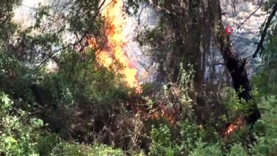 sivil toplum -  Marmaris’te altıncı günde yangınla mücadele devam etti Videosu