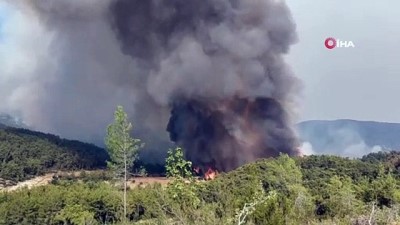 orman yangini sondurme -  Ormanlık alandan yükselen alevlerin ardından dumanlar adeta gökyüzünü kapladı Videosu