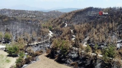 helikopter -  Osmaniye’de bin 500 hektar ormanlık alan küle döndü Videosu