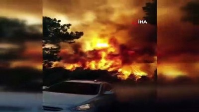 ormanlik alanda yangin -  Tavas’da orman yangını Videosu