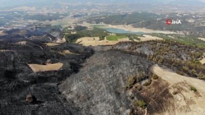 ormanli -  Yangının felaketinin izleri gün ağarınca ortaya çıktı Videosu