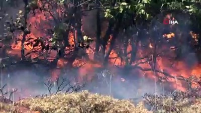 jandarma -  Bingöl’deki orman yangına 100 kişilik ekip müdahale ediyor Videosu