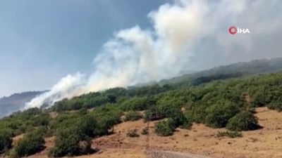 ormanli -  Bingöl’deki orman yangını devam ediyor Videosu