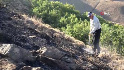 muhabir -  Bitlis’teki örtü yangını ormanlık alana sıçramadan kontrol altına alındı Videosu