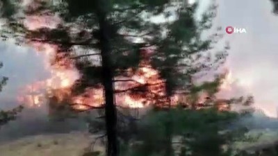 is makinasi -  160 yangın kontrol altına alındı, 14'ünü söndürme çalışmaları sürüyor Videosu