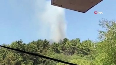 ormanlik alanda yangin -  Beykoz’da ormanlık alanda yangın çıktı. Olay yerine itfaiye ekipleri sevk edildi. Videosu
