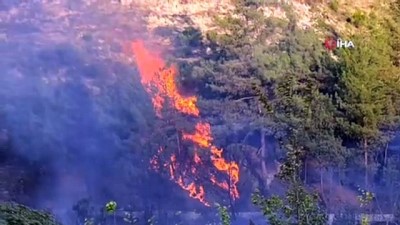  Karabük'te ormanlık alanda yangın çıktı