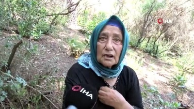  'Köylüler kovalamış ama yakalayamamışlar' Beykoz’da ormanlık alanda çıkan yangın söndürüldü