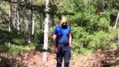 adli kontrol -  Orman yangını şüphelisi, başka bir ormanda yine tiner şişesiyle yakalandı Videosu