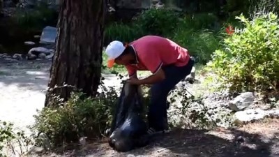 zabita -  Sındırgı’da ormanlar yangın riskine karşı temizlendi Videosu
