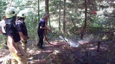 market -  Aydos Ormanı’nda küçük çaplı yangın çıktı: İki kişi kaçtı iddiası Videosu