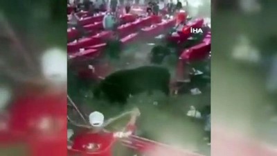 asad -  - Meksika’da rodeo sırasında boğa seyircilere saldırdı: 10 yaralı Videosu