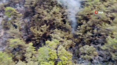  Türkiye’yi diken üstünde tutan yangında alevler Termik Santrali böyle sardı