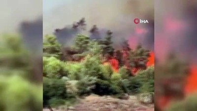 itfaiye eri -  - Yunanistan’da alevler Olympia antik kentine yaklaşıyor
- Eğriboz Adası’nda yangın sürüyor Videosu