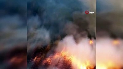 akkale -  Ezine’de orman yangını çıktı Videosu