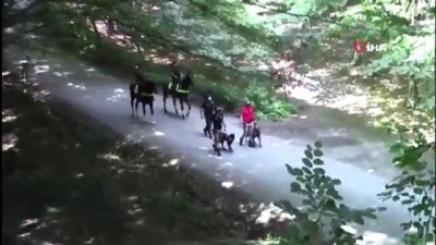 zabita -  İstanbul’un ormanlarında havadan ve karadan kontroller devam ediyor Videosu