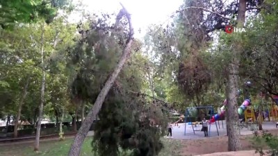 orman yangini sondurme -  Kozan'da sağanak ve dolu yağışı etkili oldu Videosu
