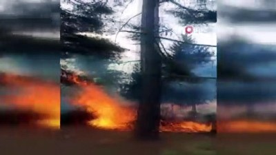 su -  Yaylalarda çıkan yangınlar korku dolu anlar yaşattı Videosu