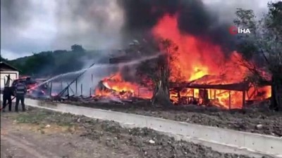  Bolu’da 2 ev, 3 samanlık alev alev yandı