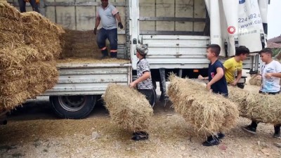 hayvan -  - Nilüferli çiftçilerden Manavgat’a anlamlı yardım Videosu