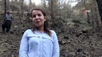 kiyamet -  Orman mühendislerinin Kozan’da damgalama çalışmalarına başladı Videosu