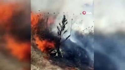 su -  Yangını gören aracını durdurup müdahale etti Videosu