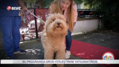 Patinin Hikayesi 2 Kasım 2024