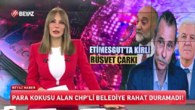 Beyaz Ana Haber 8 Ekim 2025
