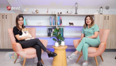 Patinin Hikayesi 22 Kasım 2025