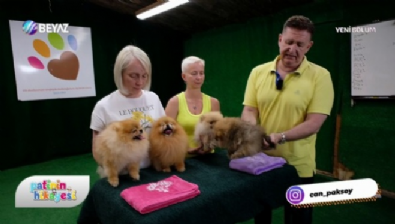 Patinin Hikayesi 27 Aralık 2025 Video İzle