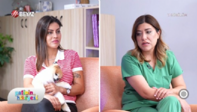 Patinin Hikayesi 6 Aralık 2025