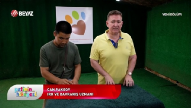 Patinin Hikayesi 28 Haziran 2025