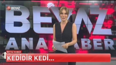 Beyaz Ana Haber 1 Temmuz 2025 Video