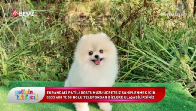 Patinin Hikayesi 12 Temmuz 2025