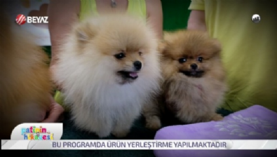 Patinin Hikayesi 5 Temmuz 2025 Video