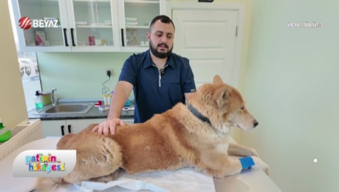 Patinin Hikayesi 17 Ocak 2026